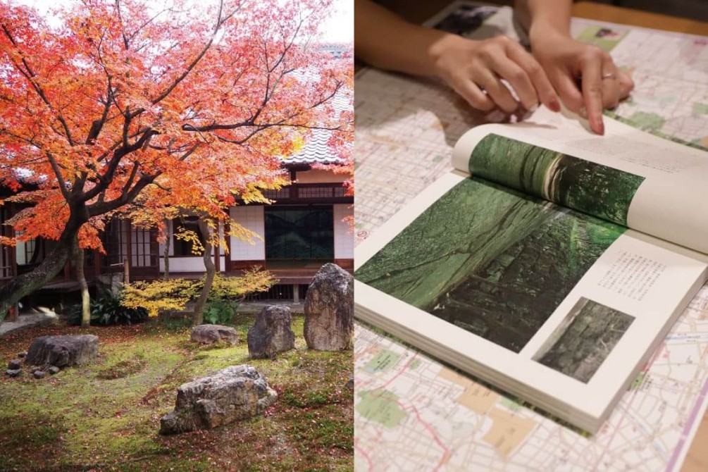 紅葉のウワサ、教えてください！観光、庭園、植栽植生のプロが勢ぞろいの紅葉情報交換会2021