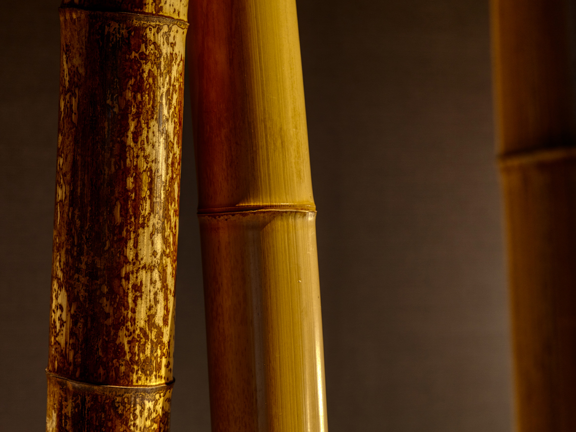 Bamboo-Kyoto Bamboo Room-